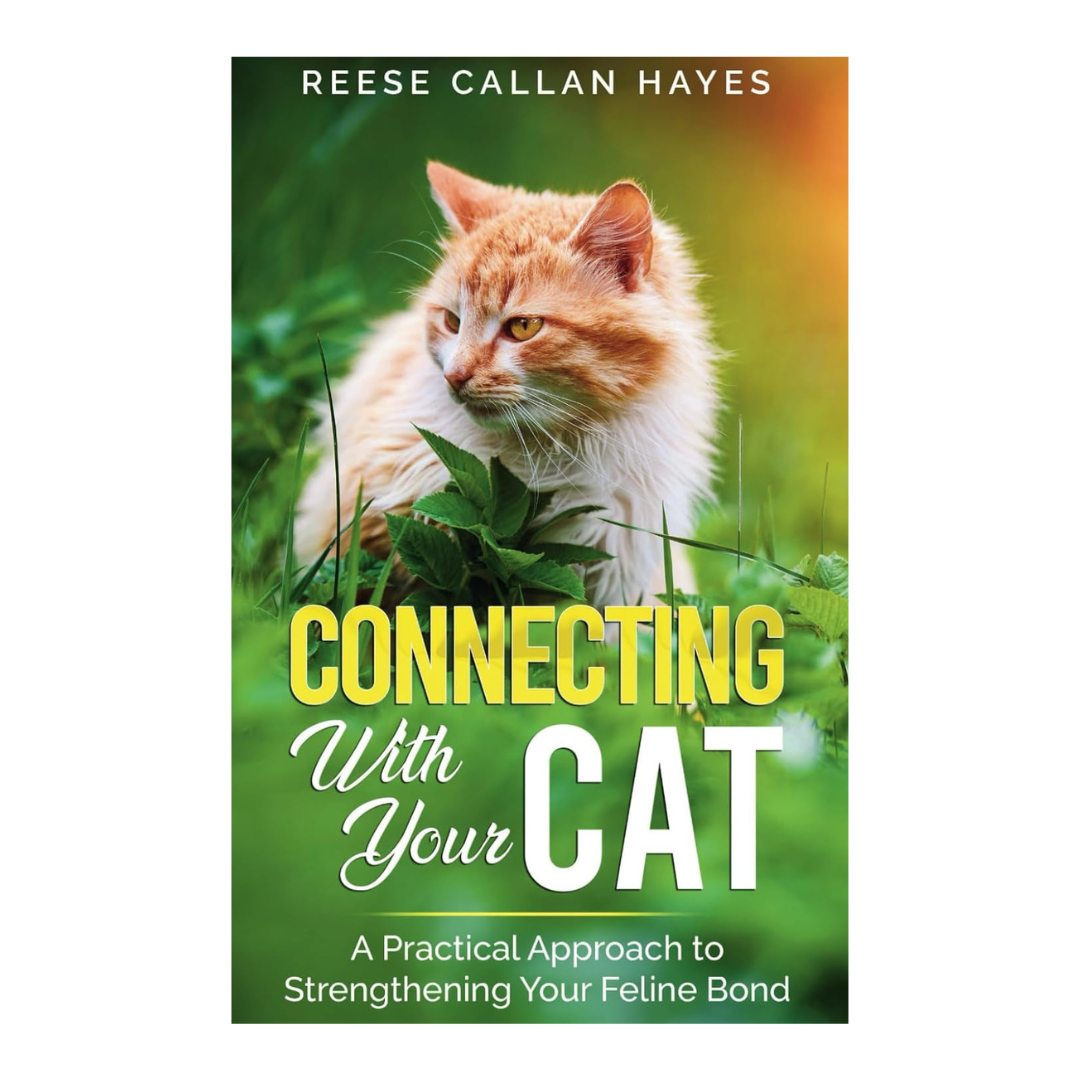 Connecting With Your Cat: A Practical Approach to Strengthening Your Feline Bond and Understanding Cat Behavior Paperback
